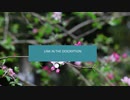 https://www.youtube.com/watch?v=d8sTZIh6rII&list=PLjotrUTkbk6T_PYmZDUHuUVS9w1VJDu13