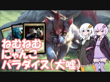 【紙束】ねむねむにゃんこパラダイス（大嘘）【#9】
