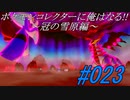 ポケモンコレクターに俺はなる‼～冠の雪原編～#023