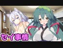 京町セイカと東北姉妹の恋愛事情『デバイス制限は嫌なので水着着用に極振りしたいと思います』【VOICEROID劇場】