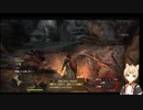 ショタの　ドラゴンズドグマ　ダークアリズン