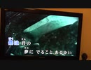 May/B'z