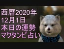 12月1日　占い　マクタンピ完全オリジナル占い　【選択型】最終的に本日の運勢の答えはあなた次第　＃占い　＃毎日占い　＃オリジナル占い