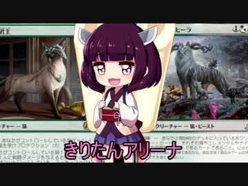 きりたんアリーナ【MTGアリーナ】　１２０杯目