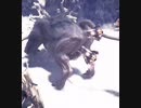 【MHW：IB】導き歴戦クシャ頭ハメ大剣ソロ