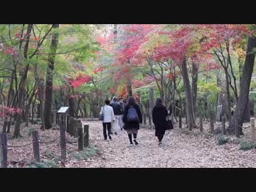 新座へ行こう　平林寺へ行こう