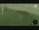[ゼルダの伝説BOTW]11月のグリップ