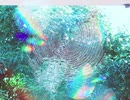 風に聞け２０１１２９　Love or Lust - Quincas Moreira