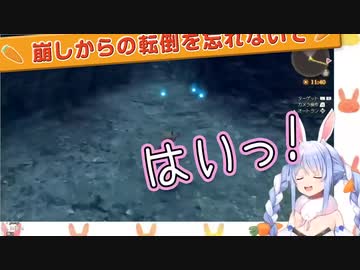 返事だけは良い兎