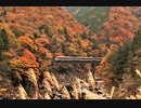 【のら】高山本線を走行するキハ85 その16