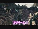 【Bloodborne対人】呪詛が大好きな狩人