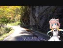 【ロードバイク車載】えんどれすえいと！【3回目】
