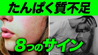 たんぱく質が不足すると身体に起こる8つのサイン【ビーレジェンド プロテイン】