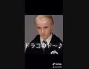 スネイプ先生のドレミの歌