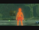 依頼を受けて、リンクさんを真っ赤なままにしてみた