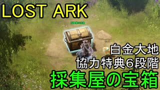 LOST ARK　白金大地 協力６段階 採集屋の宝箱