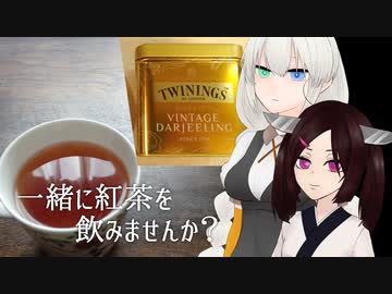 【飲み物祭2020】一緒に紅茶を飲みませんか？【ビンテージダージリン】