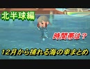 あつまれどうぶつの森　１２月から捕れる海の幸まとめ！北半球編！　【あつ森】