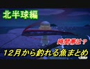 あつまれどうぶつの森　１２月から釣れる魚まとめ！釣れる場所と時間帯も紹介！北半球編！　【あつ森】