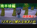 あつまれどうぶつの森　１２月から捕れる虫まとめ！捕れる場所と時間帯も紹介！南半球編！　【あつ森】