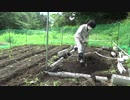 鶏小屋①支柱たて　最高のTKG9　The road to Golden 'Rice with raw egg'!!!　ep9