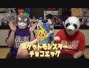 【前編】ポケモンチョコエッグでポケモンバトルは成立するのか？