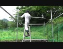 鶏小屋②骨組み　最高のTKG10　The road to Golden 'Rice with raw egg'!!!　ep10