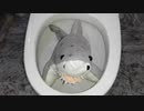鮫をトイレに流してみた