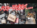 【HacknetDLC♯08】サイバー犯罪がリアルに体験できるハッキングゲームのDLCもすごい！