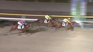 2020年12月1日船橋競馬11R カムイユカラスプリント（船橋記念ＴＲ）(OP) アドバイザー