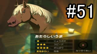 世界を冒険するべく「ゼルダの伝説 ブレスオブザワイルド」実況　part51