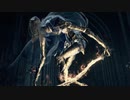 死んだ数を数えながらDARK SOULS3実況してみたPart.004