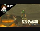 【実況】マスターモードでやりこみサバイバル生活！！　Part87 【ゼルダの伝説　BotW】