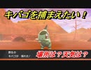 ポケモン剣盾　キバゴを捕まえる方法！オススメの場所は？天気は？ポケモン図鑑コンプへの道！　【ポケモンソード・シールド】