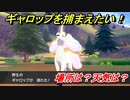 ポケモン剣盾　ギャロップを捕まえる方法！オススメの場所は？天気は？ポケモン図鑑コンプへの道！　【ポケモンソード・シールド】