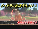 ポケモン剣盾　クイタランを捕まえる方法！オススメの場所は？天気は？ポケモン図鑑コンプへの道！　【ポケモンソード・シールド】
