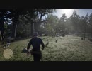 Red Dead Redemption 2やったときの11