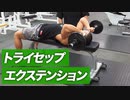 二の腕の筋肉を鍛える！トライセップエクステンションの効果的なやり方【ビーレジェンド プロテイン】
