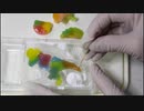 知育菓子24種作るやつ3/3