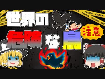 【ゆっくり解説】世界の恐ろしい鳥たち