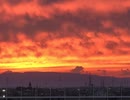 ニサルガダッタ・マハラジが指し示したもの 17-2　Hulu Ukulele - Chris Haugen