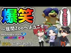【マリオカート8DX】過去一発狂した神回がマジで爆笑ｗｗｗｗｗｗ【居間ラジオ】