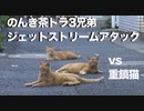 伝説の重鎮猫、修羅猫とのんき猫たちに囲まれる