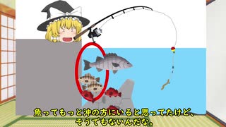 【ゆっくり解説】魚を釣るならどこ狙う？海釣り釣り場解説【初心者用】#1