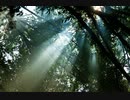 イヤホン推奨 ヒーリングオリジナル曲 「Mercy」