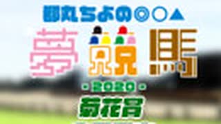 都丸ちよの夢競馬2020 会員限定【予想：菊花賞】