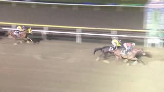 2020年12月2日船橋競馬11R ハートビートダービー(3歳OP) マンガン