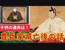 【豊臣滅亡後】秀頼死去後の豊臣家は、いったいどうなったの？