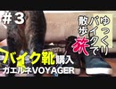 ゆっくりバイクで旅したい #3 ガエルネVOYAGER買ってきたよ