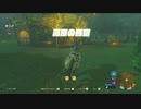 【ゆっくり実況】　ゼルダの伝説BotW　#37